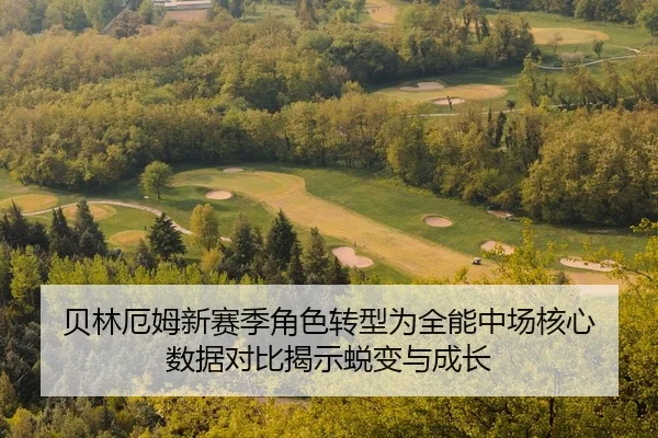 bei-lin-e-mu-xin-sai-ji-jue-se-zhuan-xing-wei-quan-neng-zhong-chang-he-xin-shu-ju-dui-bi-jie-shi-tui-bian-yu-cheng-zhang-2-306.jpg